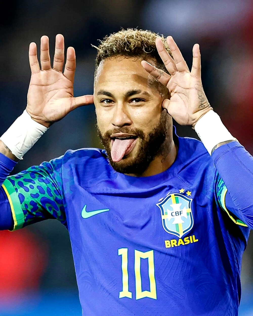 地位已成为 地位已成为