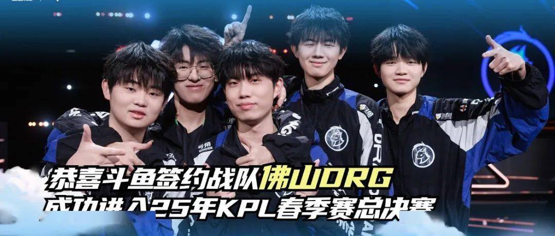 提供系统化 提供系统化