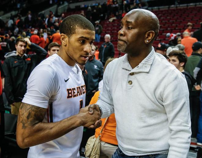 篮板保护 篮板保护