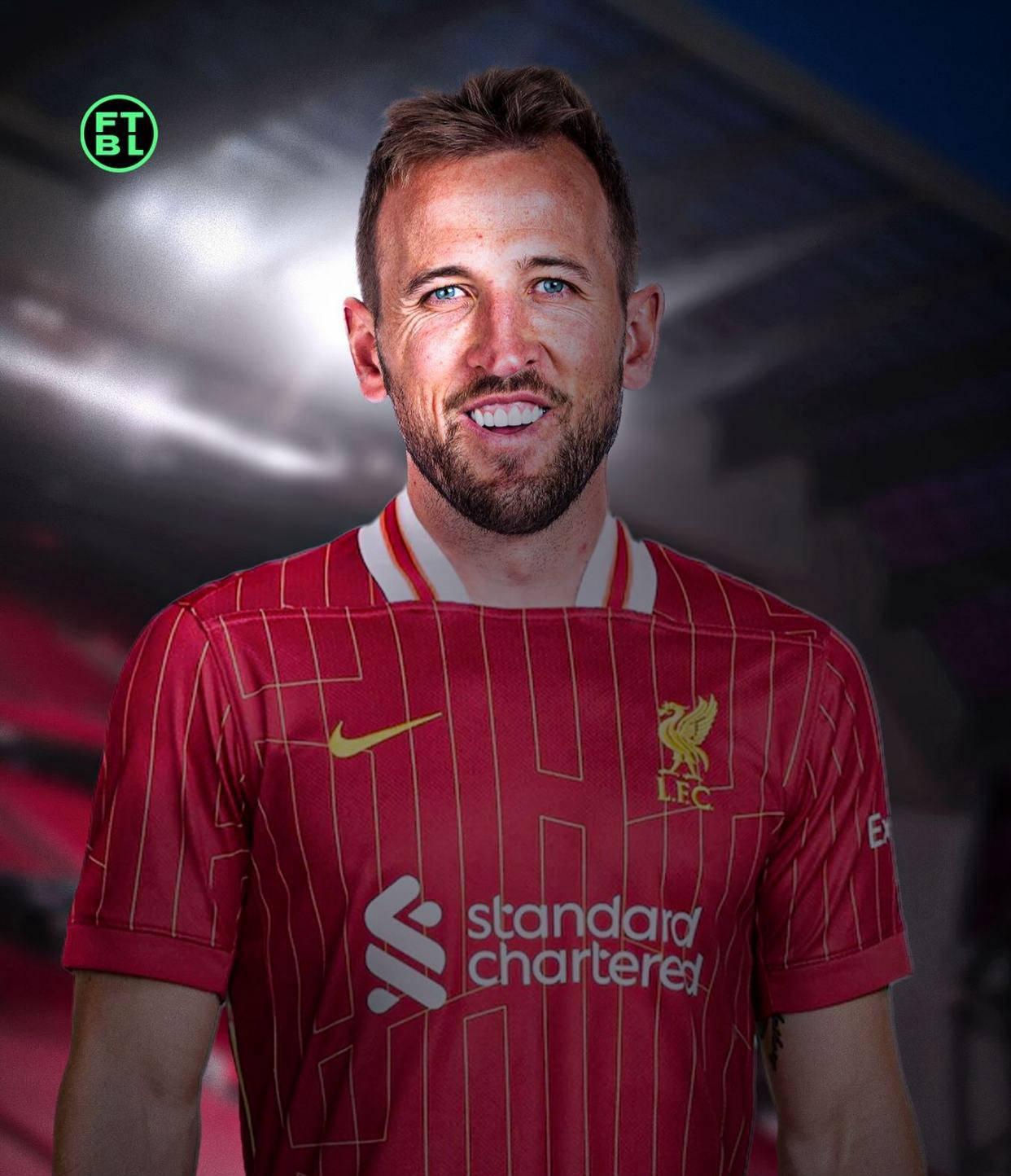 篮板保护 篮板保护